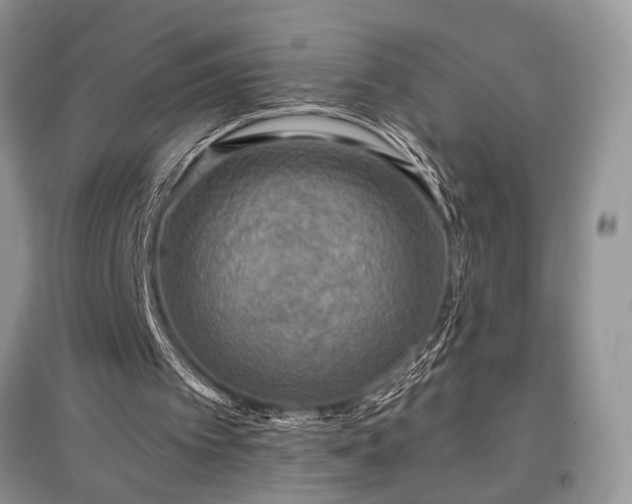 X0000097610097200803071457