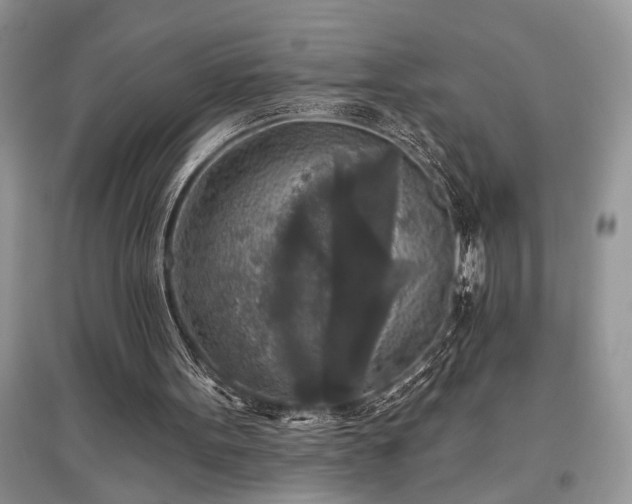 X0000097610099200803071457