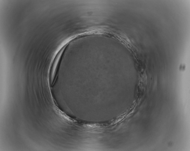 X0000097610100200803071457