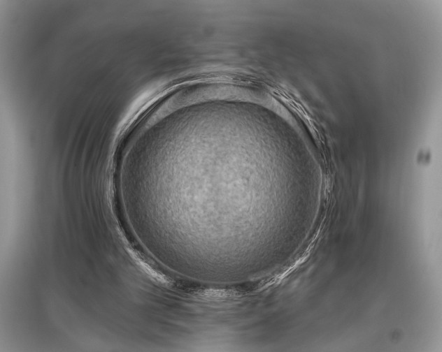 X0000097610101200803071457