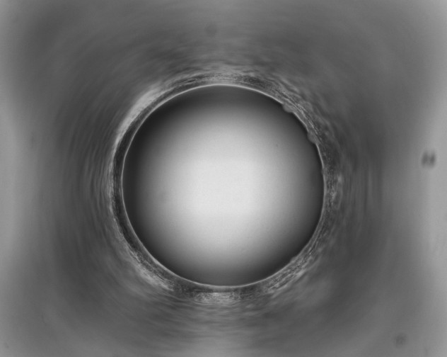 X0000097610102200803071457