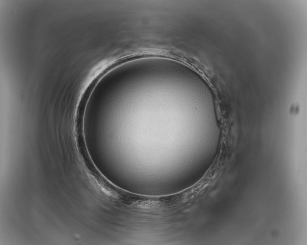 X0000097610104200803071457