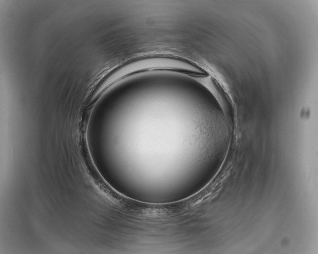 X0000097610105200803071457