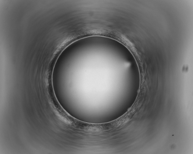 X0000097610106200803071457