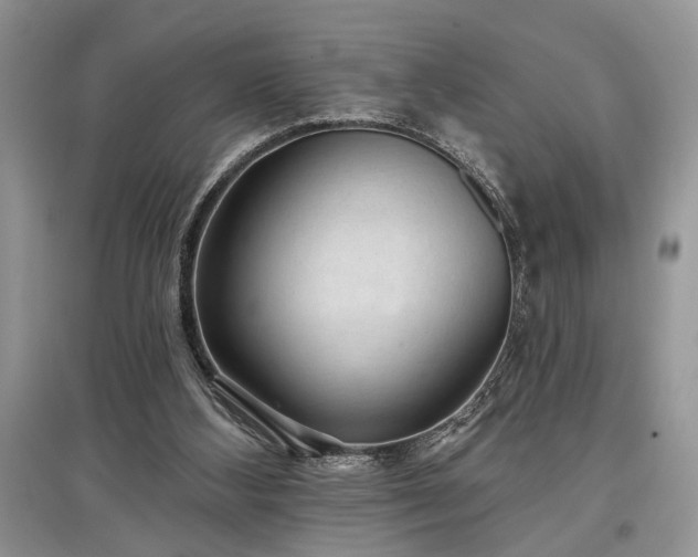 X0000097610108200803071457