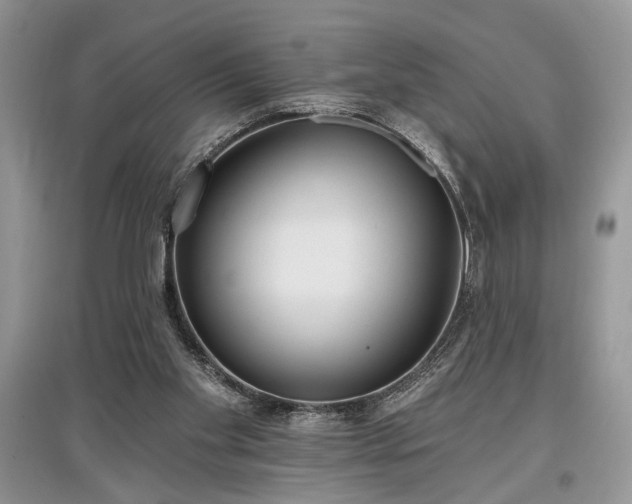 X0000097610109200803071457