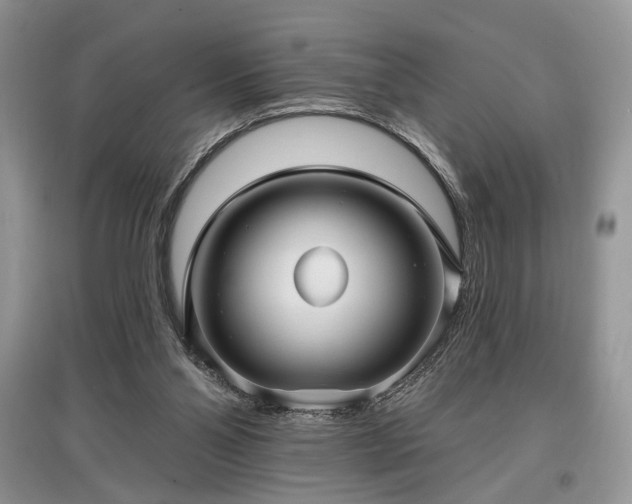 X0000097610110200803071457