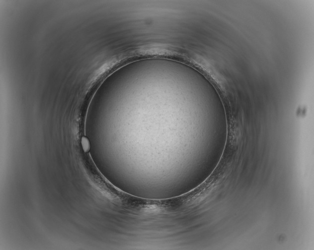 X0000097610111200803071457