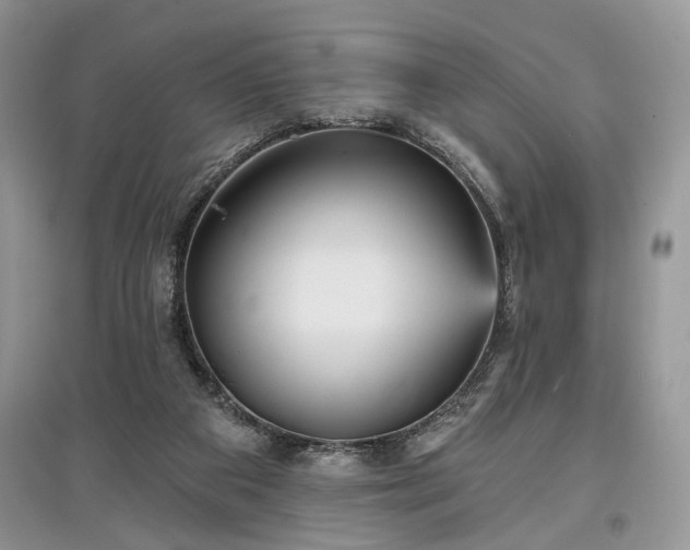 X0000097610113200803071457