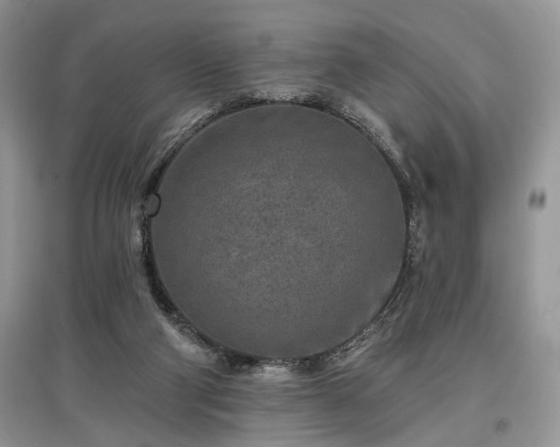 X0000097610114200803071457