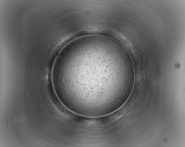 X0000097610115200803071457