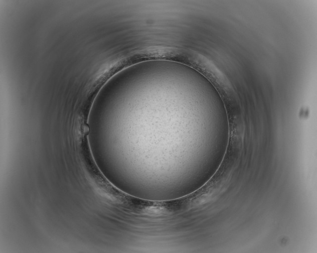 X0000097610119200803071457