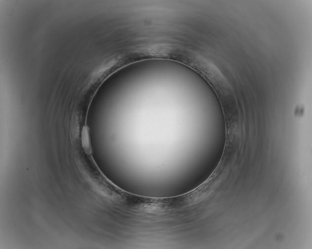 X0000097610120200803071457