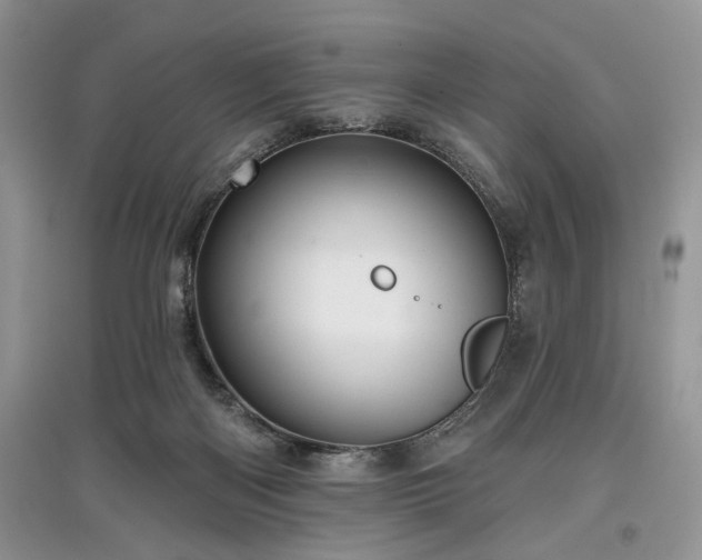 X0000097610122200803071457