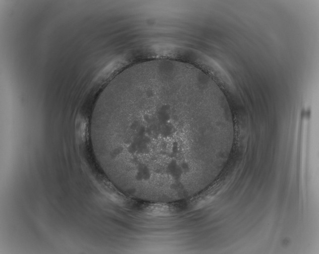 X0000097610123200803071457