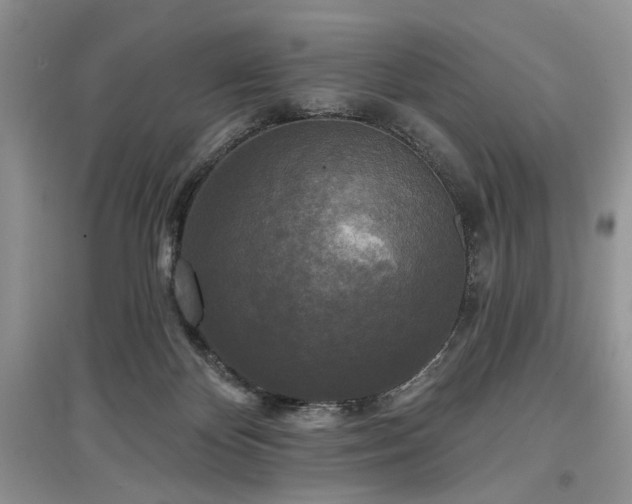 X0000097610124200803071457