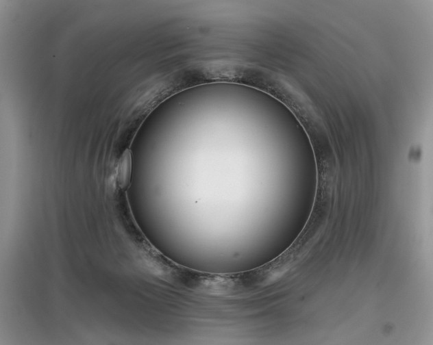 X0000097610125200803071457