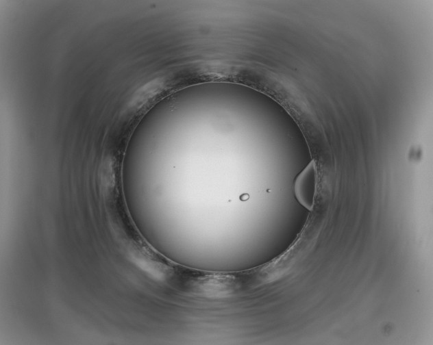 X0000097610128200803071457