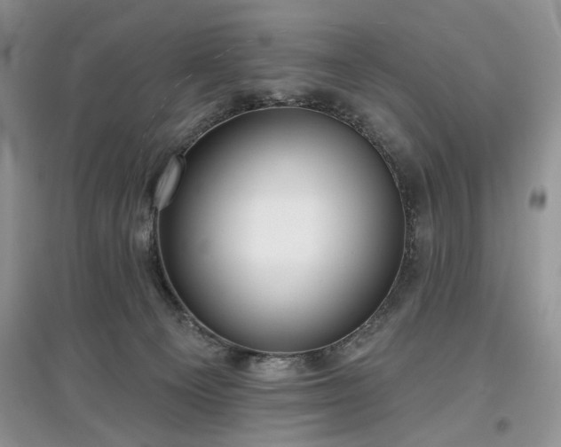 X0000097610129200803071457