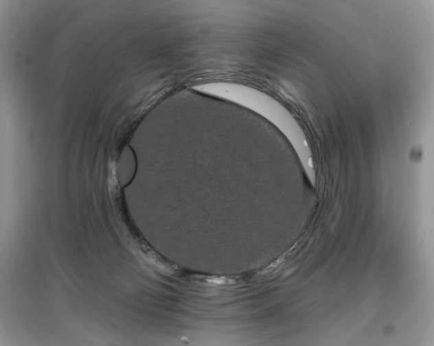 X0000097610130200803071457