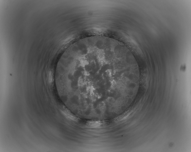 X0000097610131200803071457