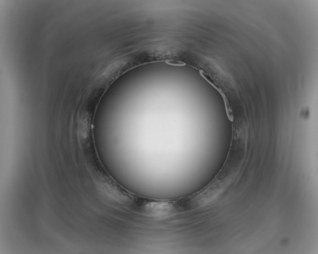 X0000097610133200803071457