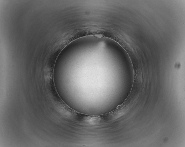 X0000097610135200803071457