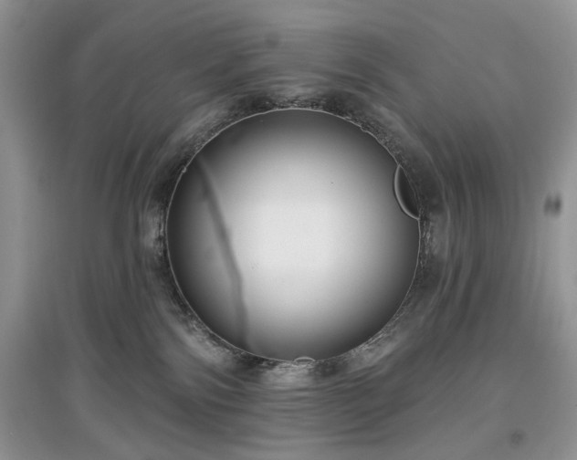 X0000097610138200803071457