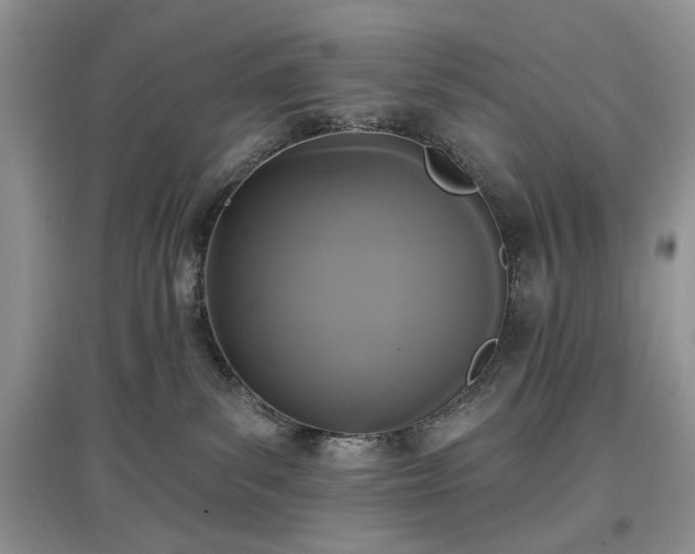 X0000097610139200803071457