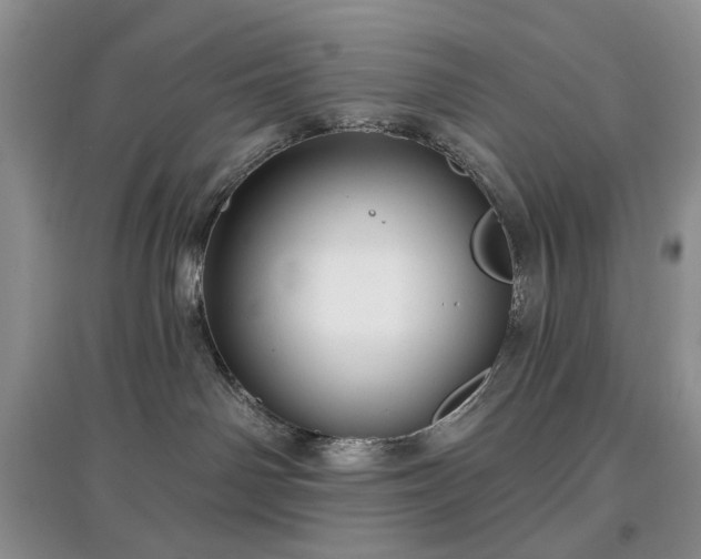 X0000097610142200803071457