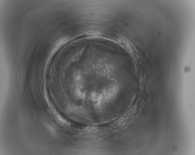 X0000097610145200803071456