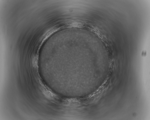 X0000097610146200803071456
