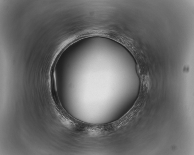 X0000097610148200803071456