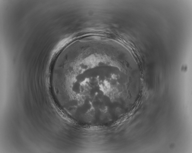 X0000097610149200803071456