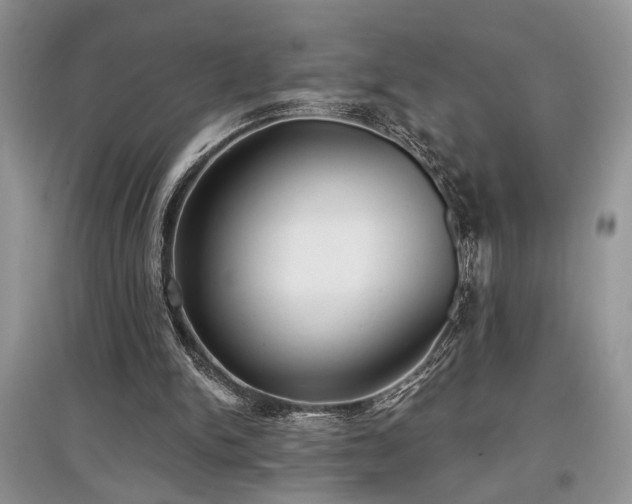 X0000097610150200803071456