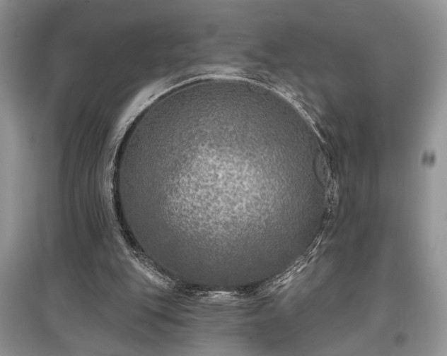 X0000097610151200803071456