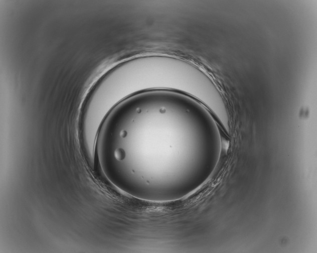 X0000097610152200803071456