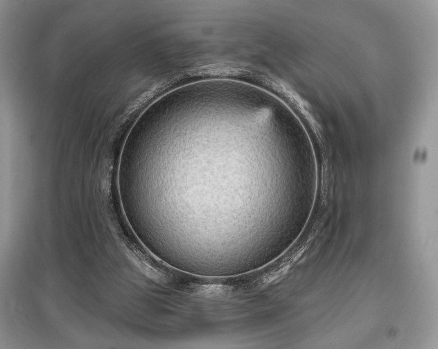 X0000097610153200803071456