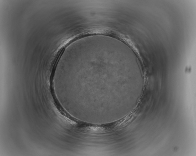 X0000097610154200803071456