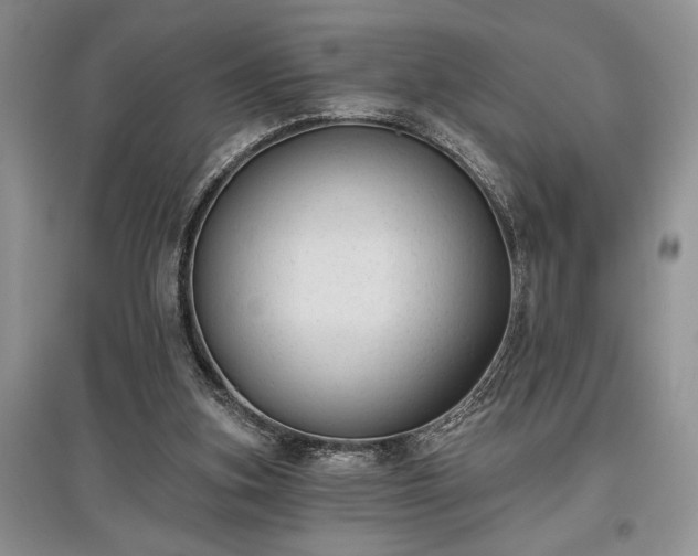 X0000097610155200803071456
