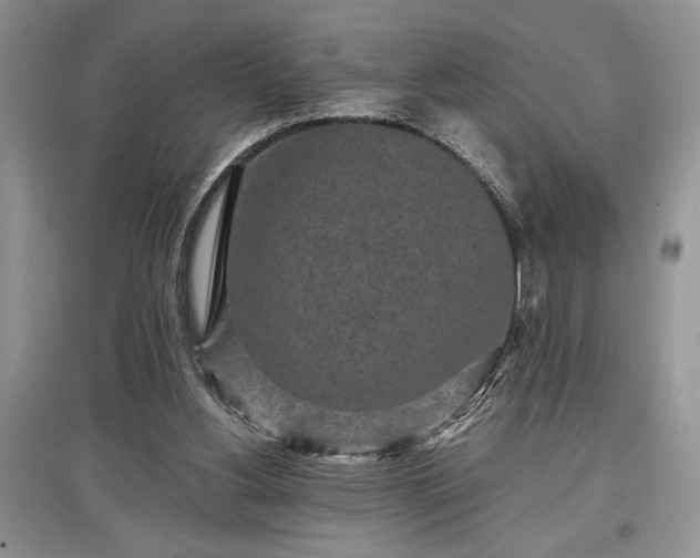 X0000097610156200803071456