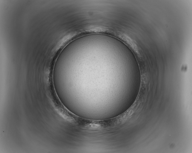 X0000097610159200803071456