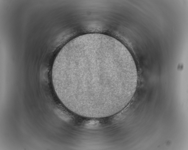 X0000097610162200803071456