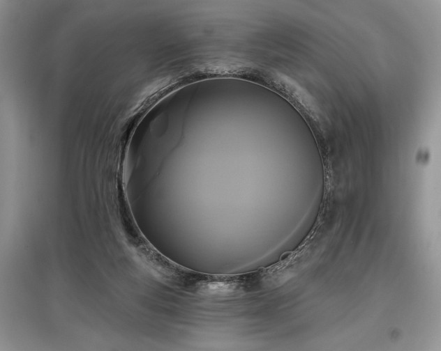 X0000097610163200803071456