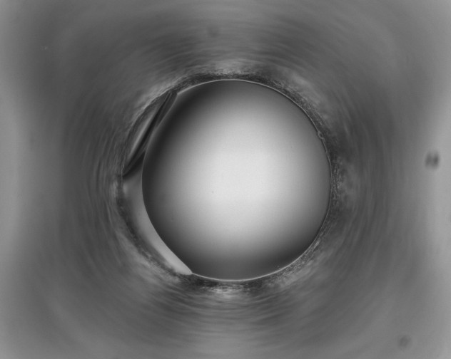 X0000097610164200803071456