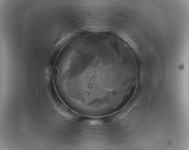 X0000097610165200803071456