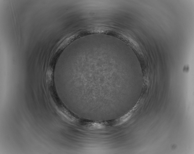 X0000097610166200803071456