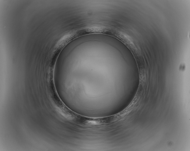 X0000097610167200803071457