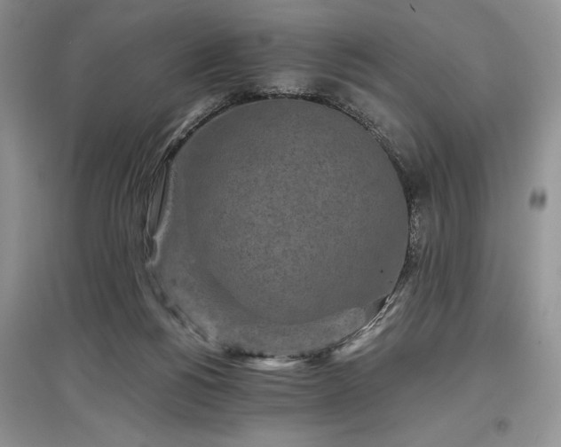 X0000097610168200803071457