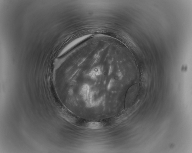 X0000097610169200803071457